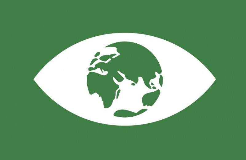 weißes Auge auf grünem Hintergrund